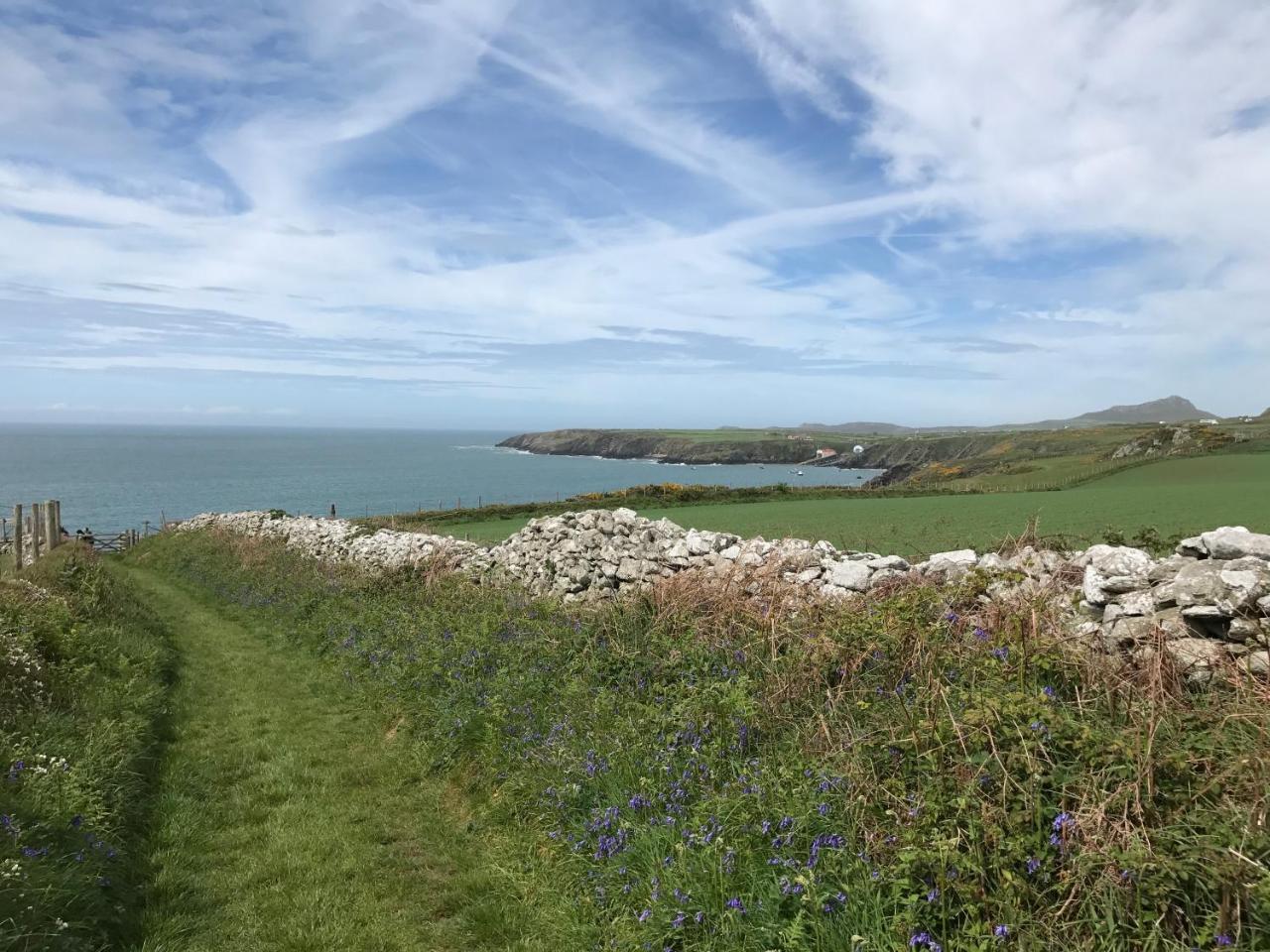 The Cambrian Inn Solva Dış mekan fotoğraf